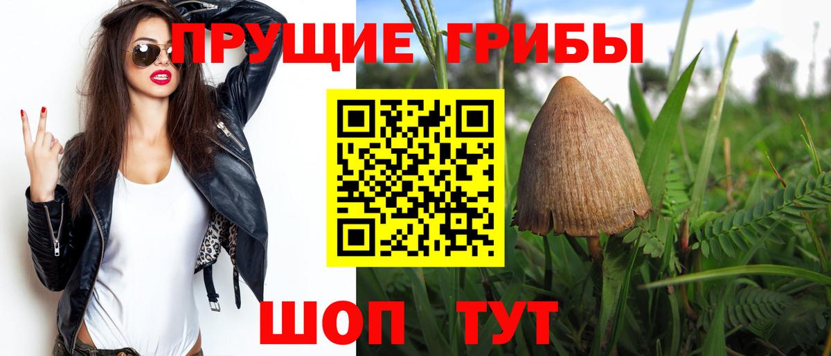 Дедовск  купить  сайты  Вход с VPN  Галлюциногенные грибы Psilocybe 